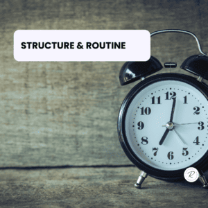 Empowering Principle: Structure & Routines