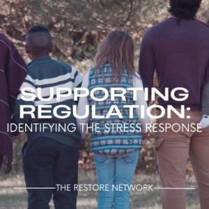 Supporting Regulation: Identifying the Stress Response