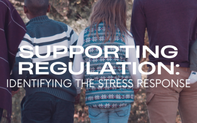 Supporting Regulation: Identifying the Stress Response