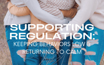 Supporting Regulation: Keeping Behaviors Low & Returning to Calm