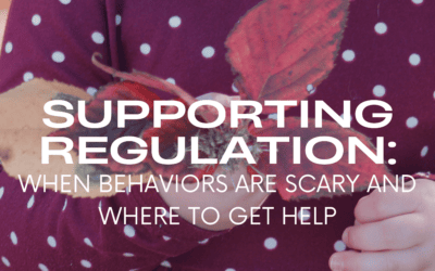 Supporting Regulation: When Behaviors Are Scary and Where to Get Help