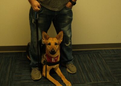 Copy of fdff ab ce dfddfe